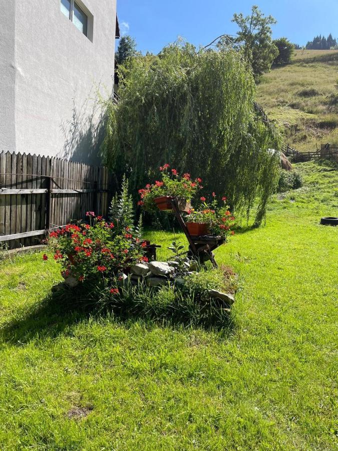 Casa Anastasia - Moieciu De Sus Moeciu De Sus Eksteriør billede