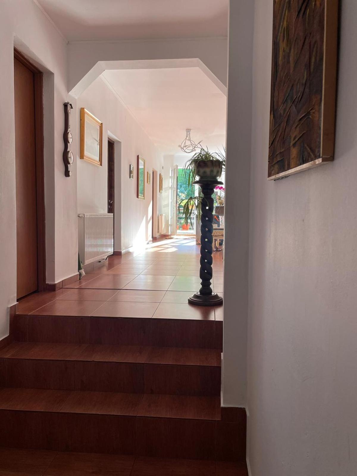 Casa Anastasia - Moieciu De Sus Moeciu De Sus Eksteriør billede